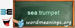 WordMeaning blackboard for sea trumpet